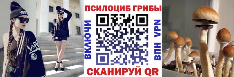 Купить  Кудымкар  Галлюциногенные грибы мухоморы 